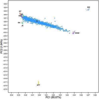 Ancestral Haplotype Mapping for GWAS and Detection of Signatures of Selection in Admixed Dairy Cattle of Kenya